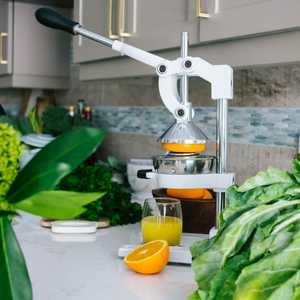 Cold-Press Juicer
